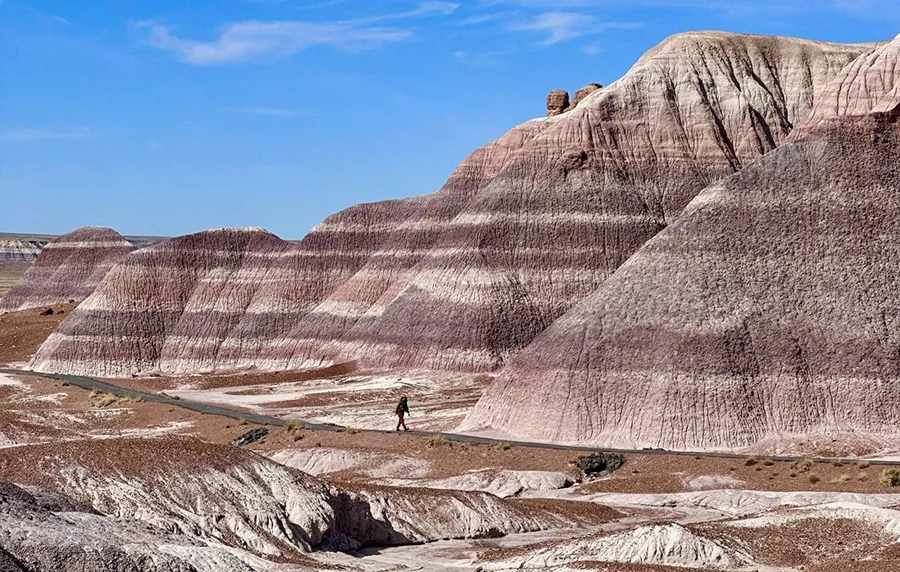 Petrified Forest Is Worth the Visit