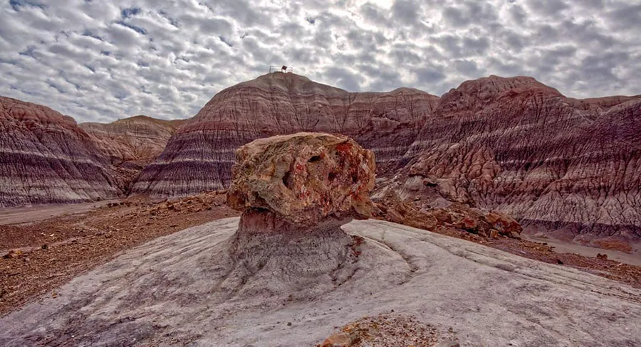 Explore fossil rocks in Petrified Forest National Park