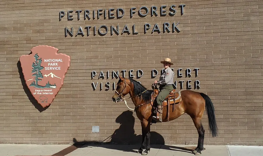 Horseback riding in Petrified Forest National Park