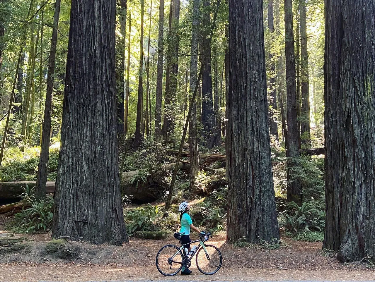 You can cycle while stopping to study your surroundings