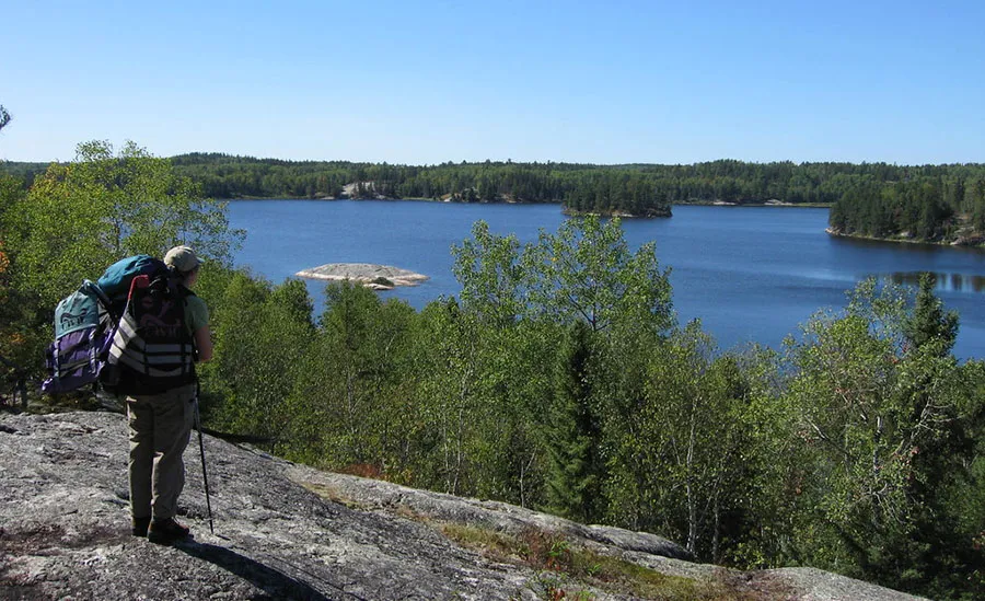 The highlights of hiking in Voyageurs National Park is the opportunity to observe wildlife and wildflowers along the scenic trails