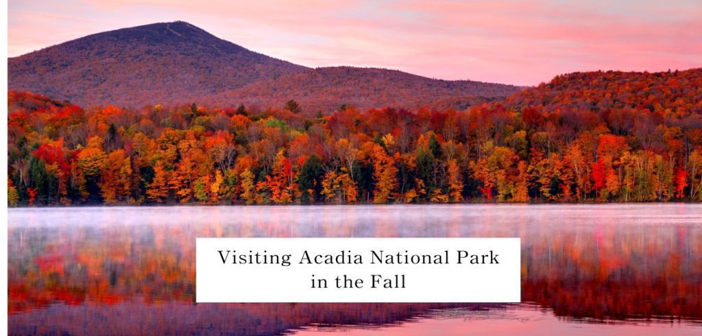 acadia national park in fall