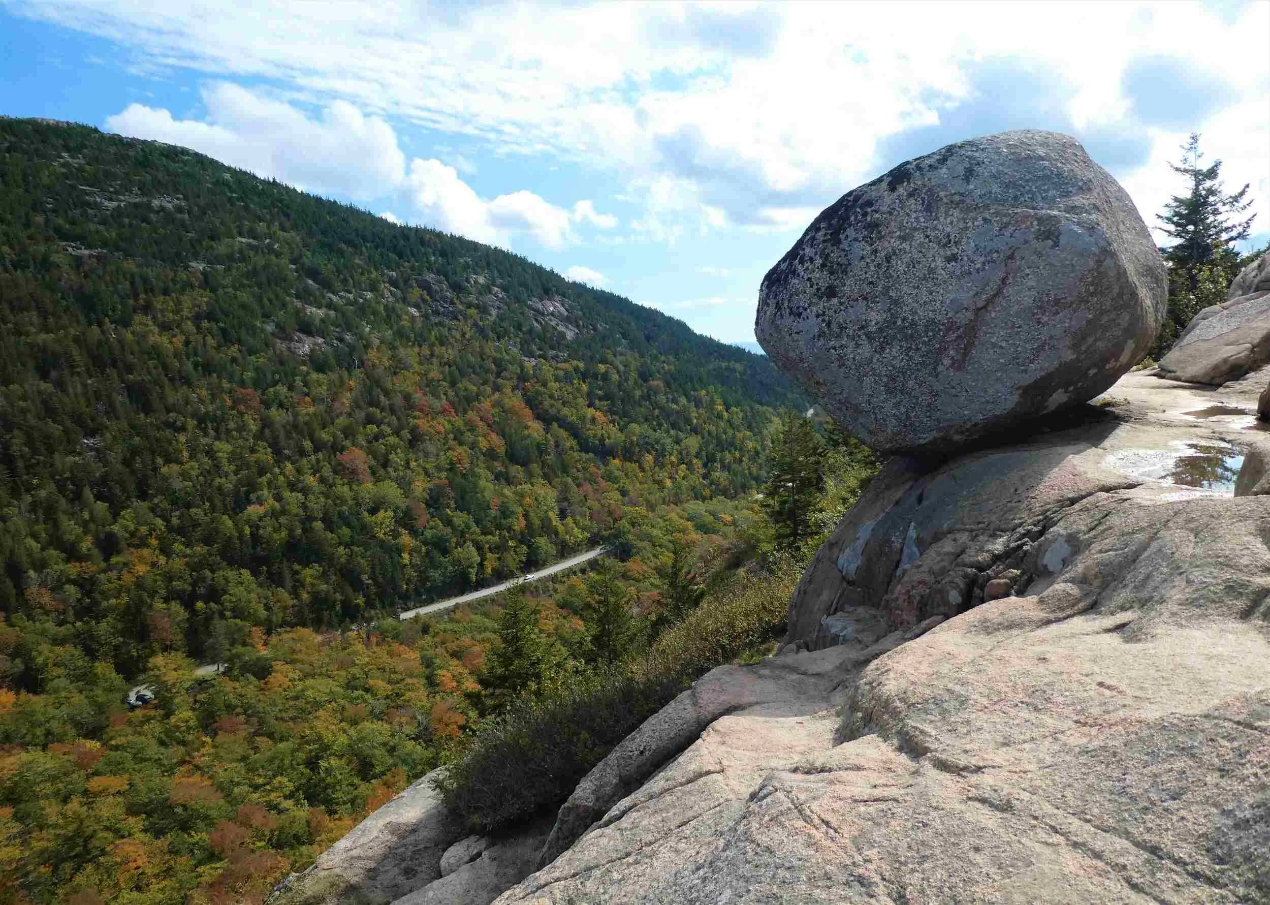 acadia national park in fall