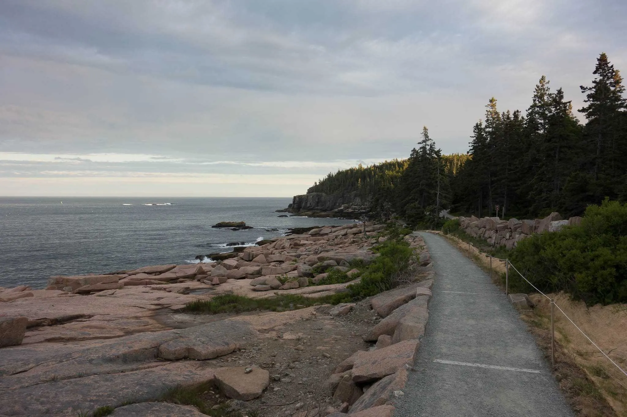 acadia national park in fall