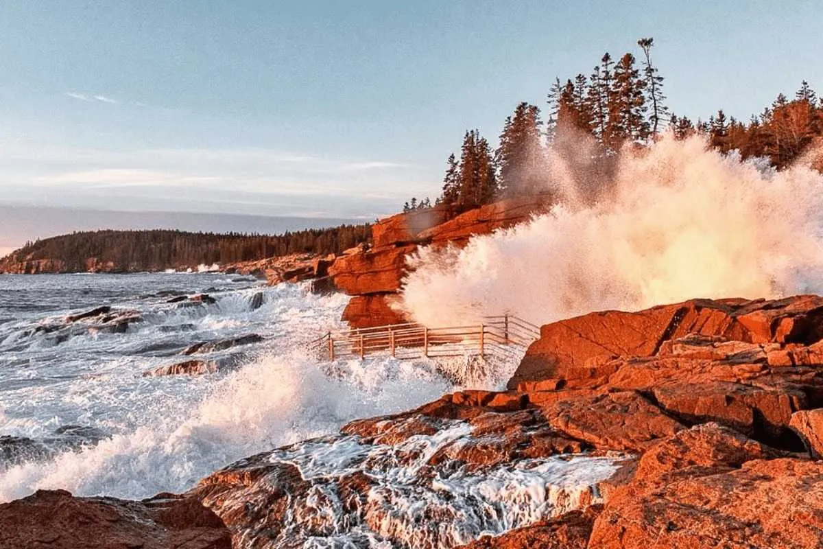 acadia national park in fall