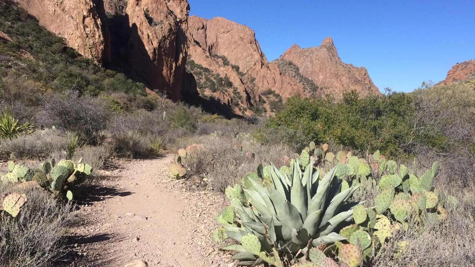 big bend national park hiking