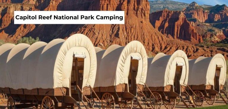 capitol reef national park camping