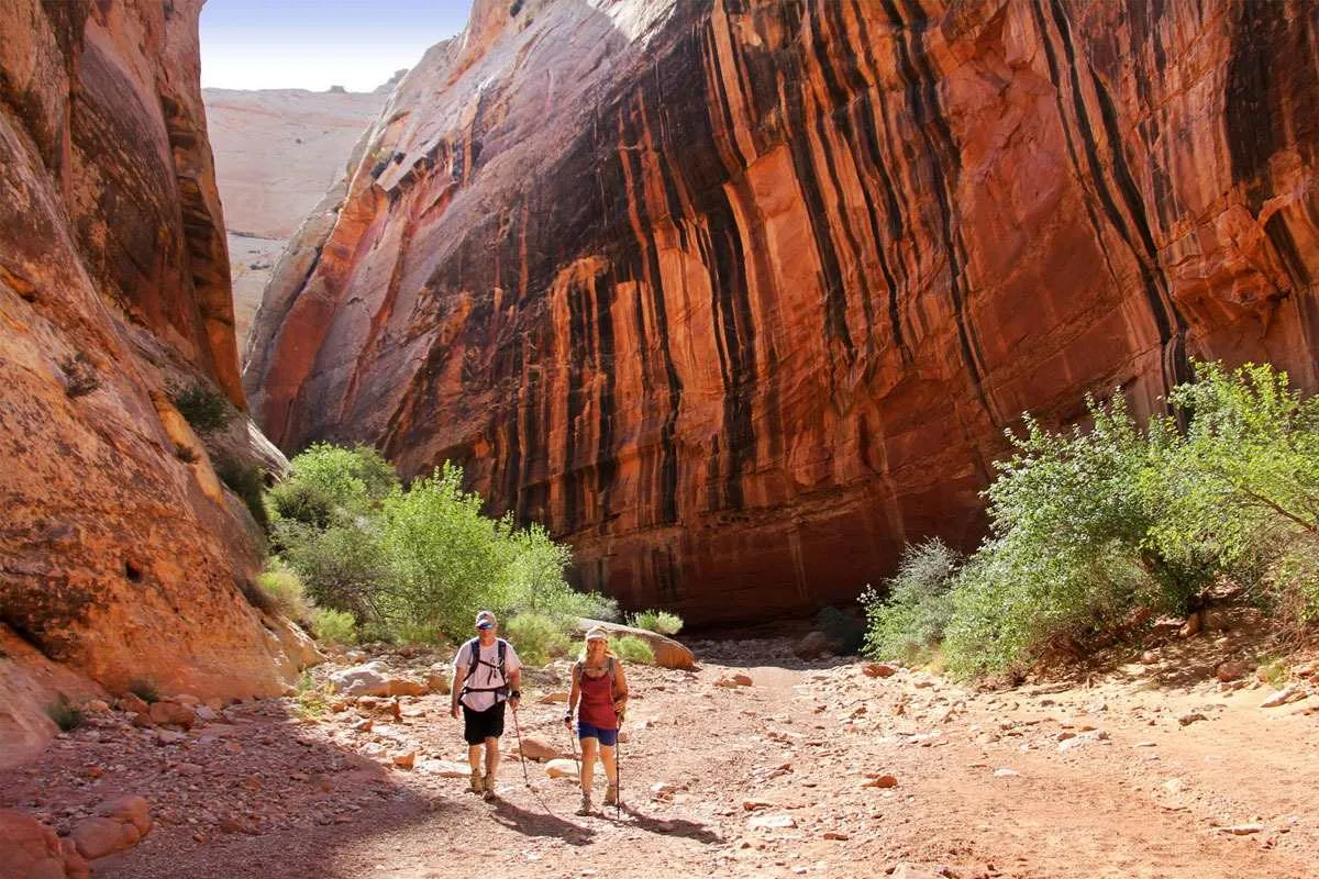 capitol reef national park hiking