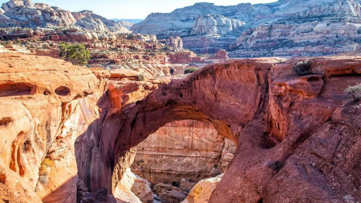 capitol reef national park hiking