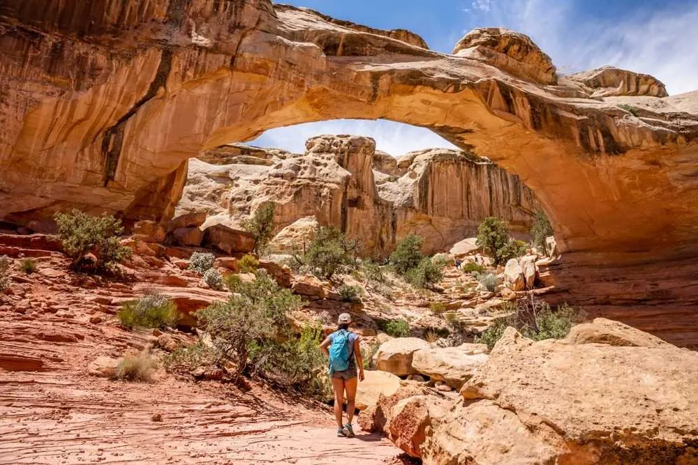 capitol reef national park hiking