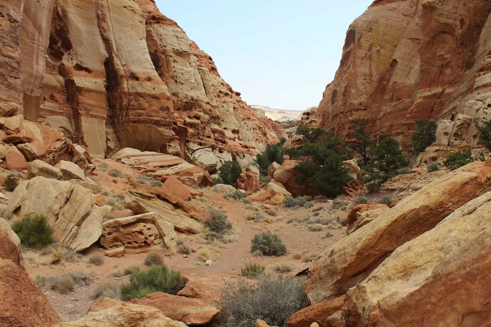 capitol reef national park hiking