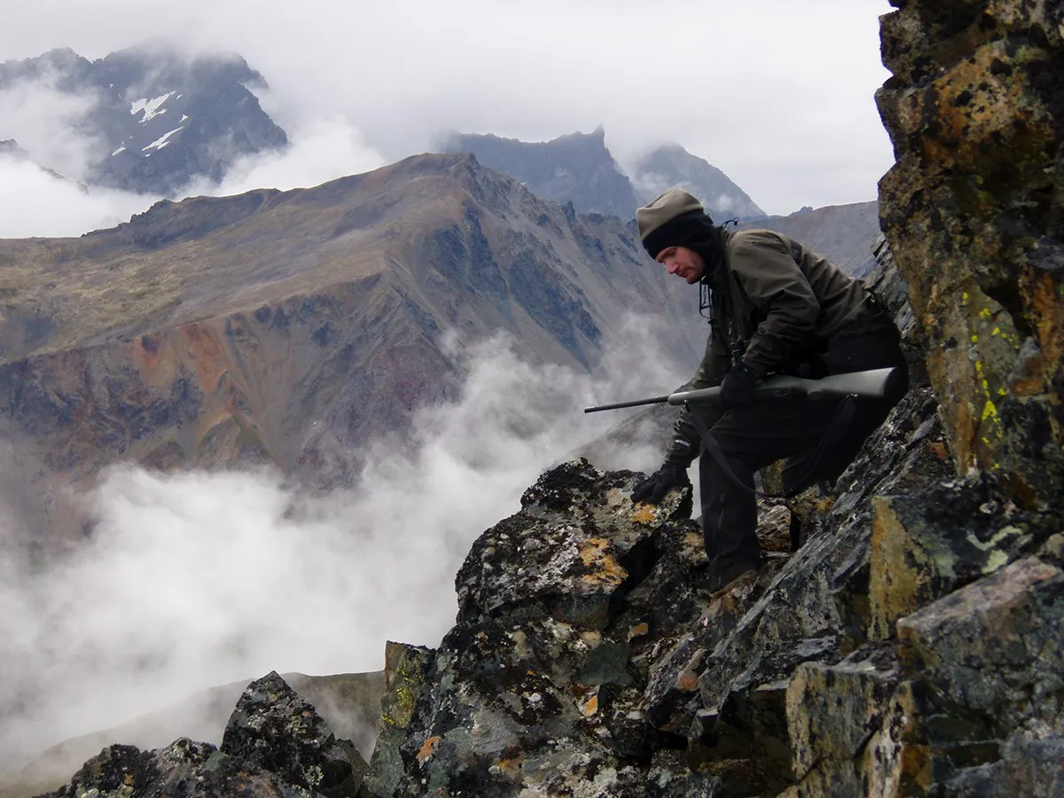 denali national park hunting