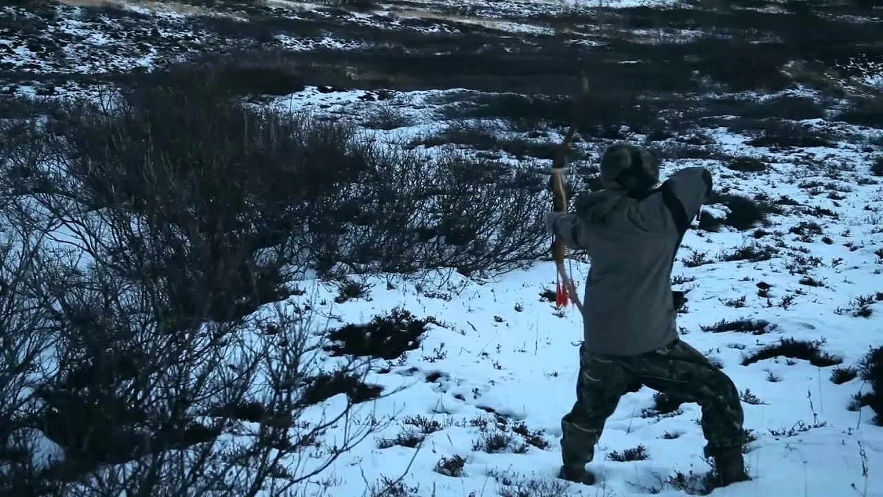 denali national park hunting