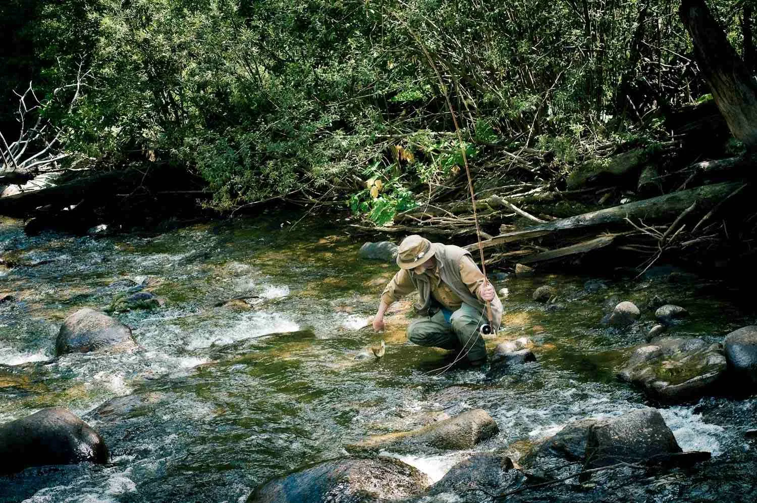 rocky mountain national park fishing