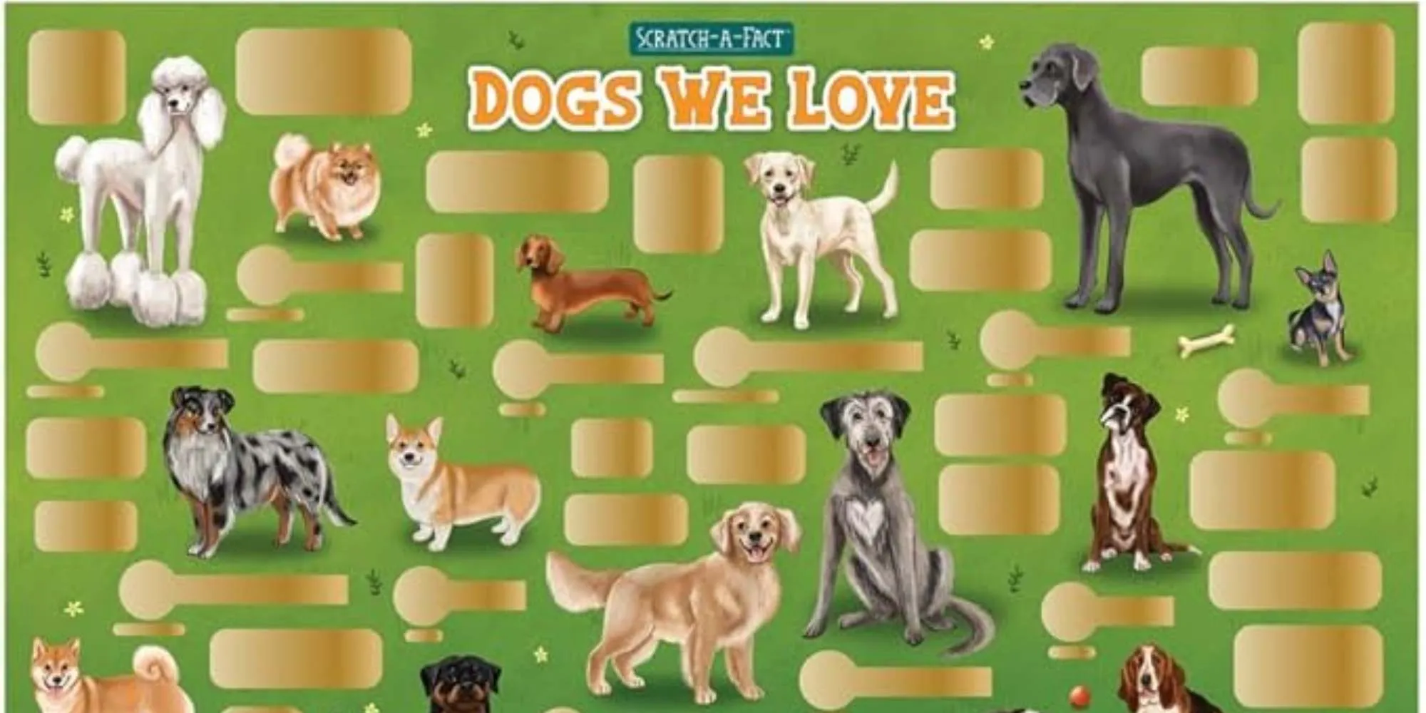scratch off posters animals