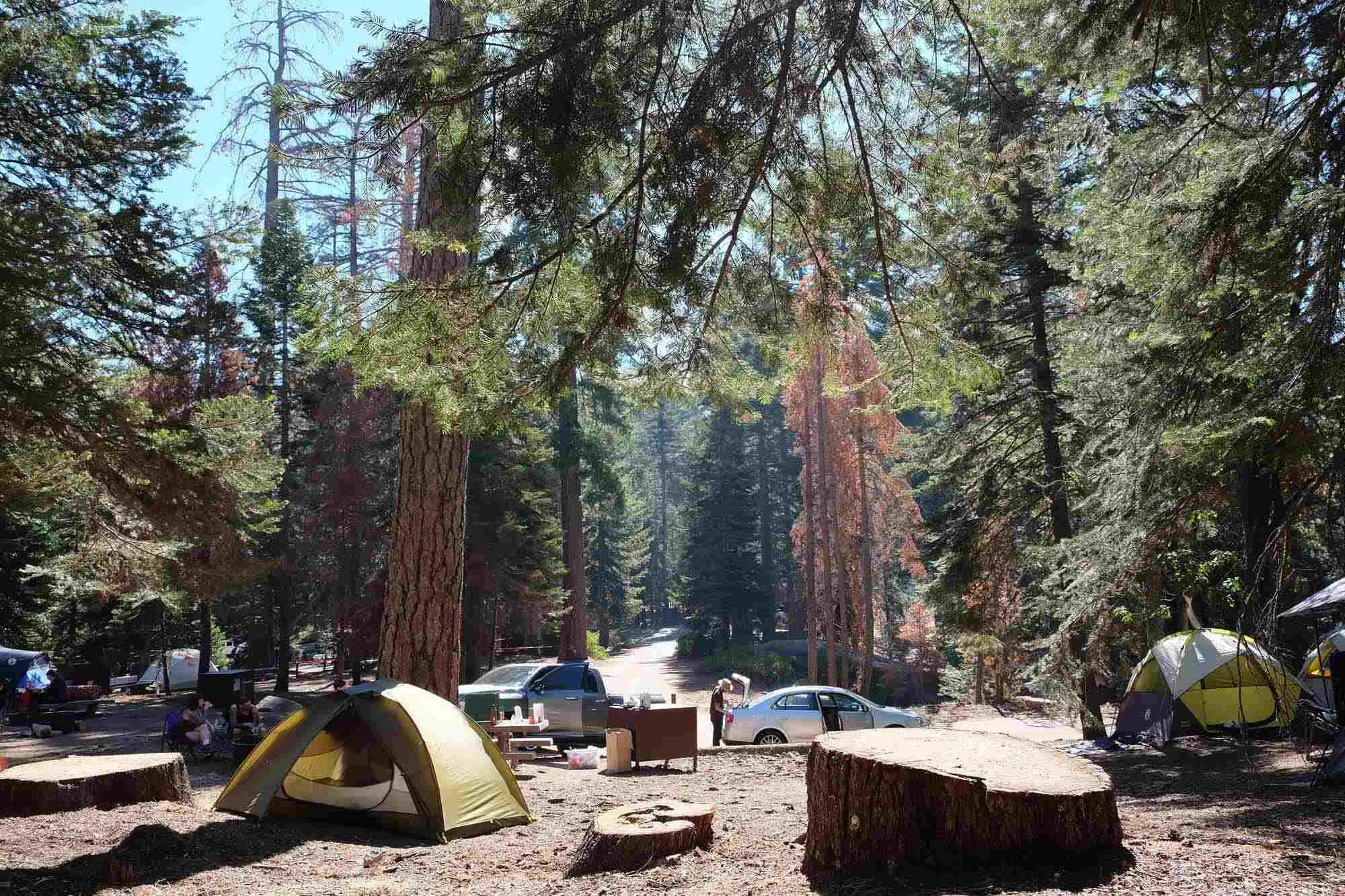 sequoia campground reviews