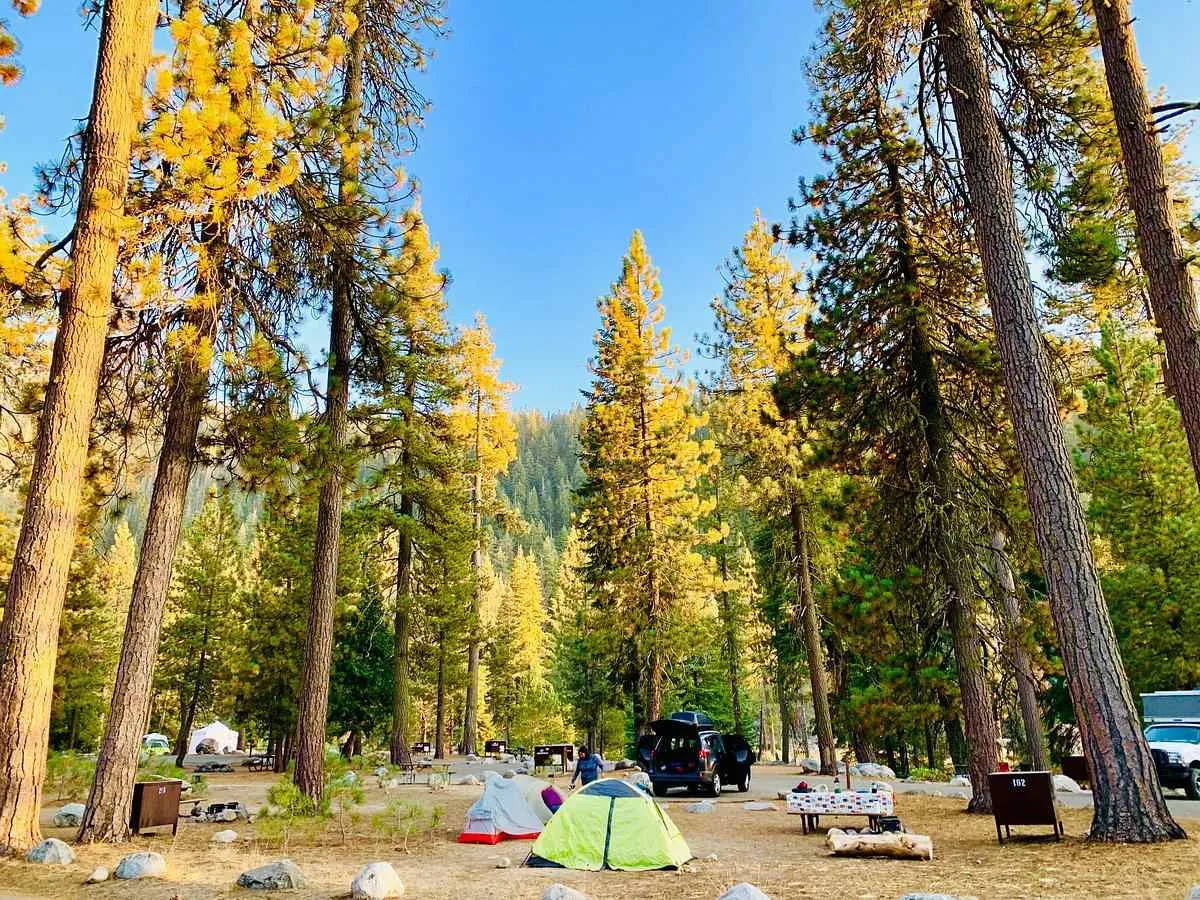 sequoia campground reviews