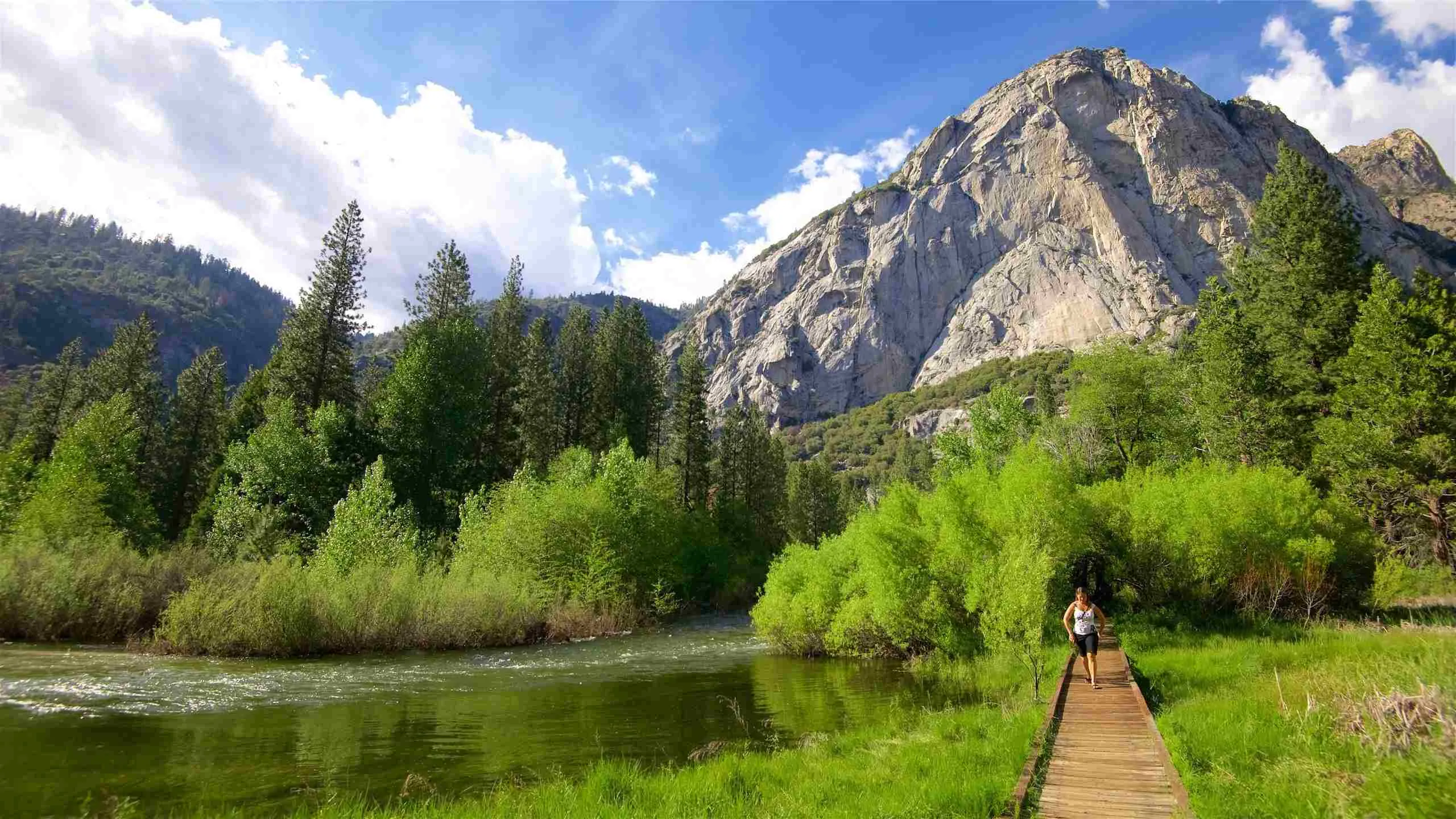 sequoia campground reviews