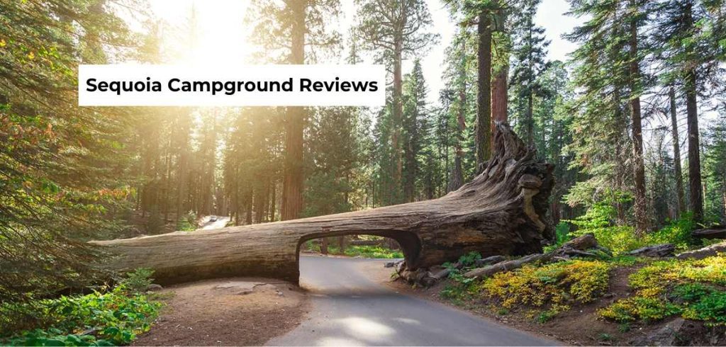 sequoia campground reviews