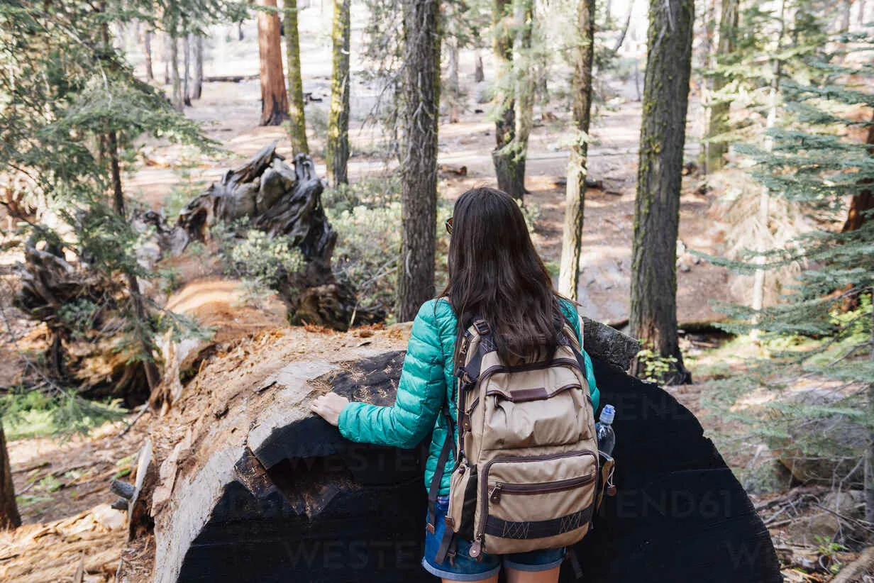 Sequoia camping gear checklist