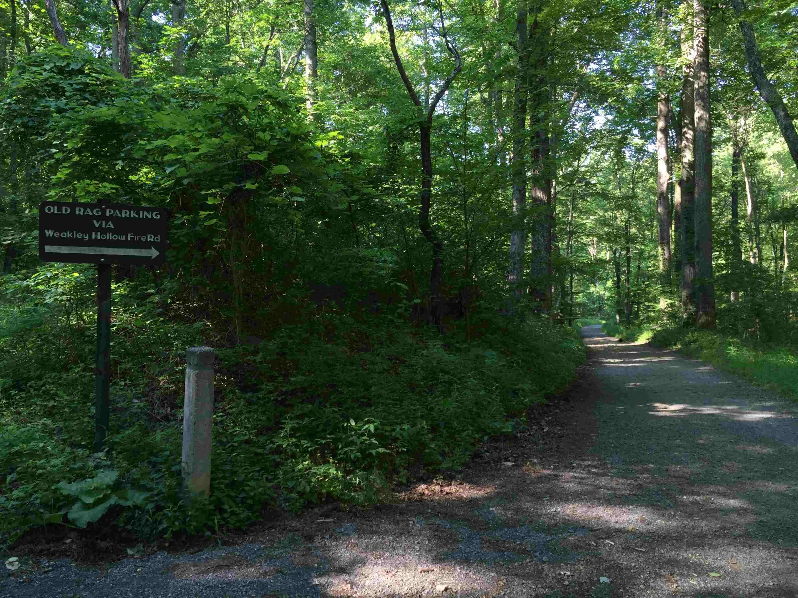 shenandoah national park backpacking