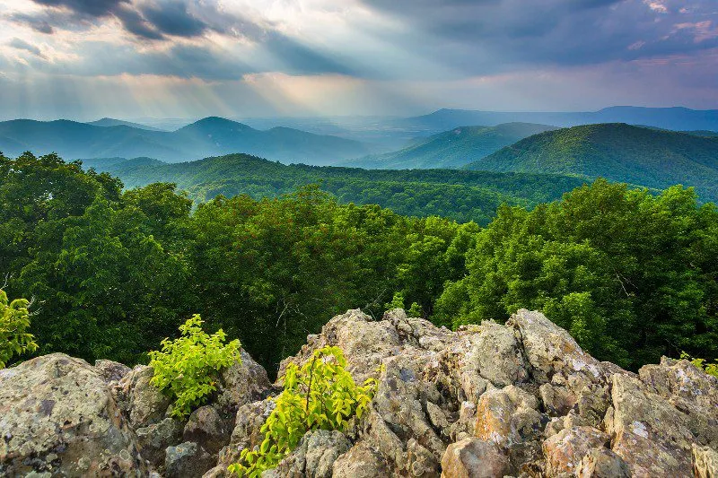 shenandoah national park backpacking