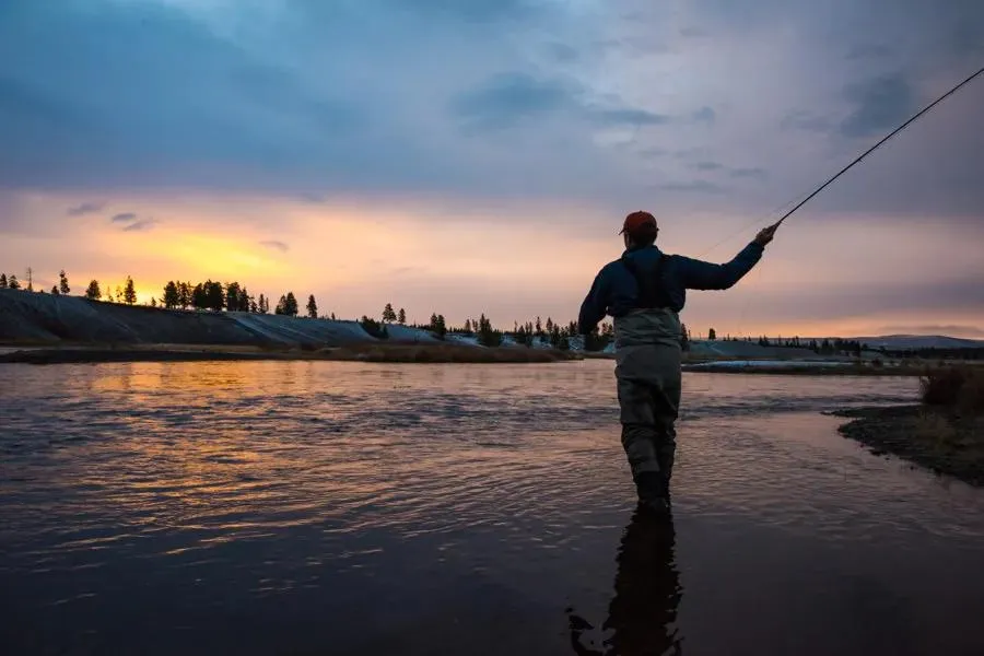 yellowstone national park fishing