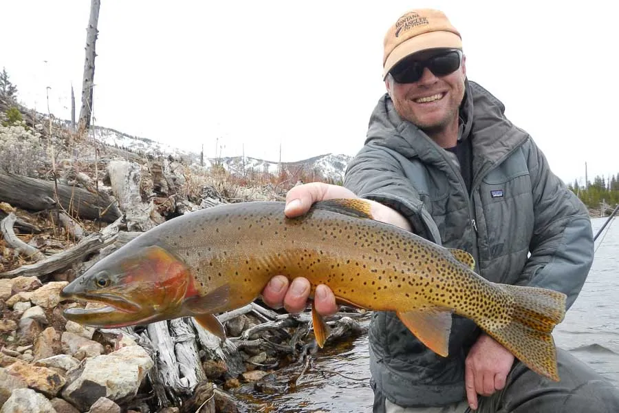 yellowstone national park fishing
