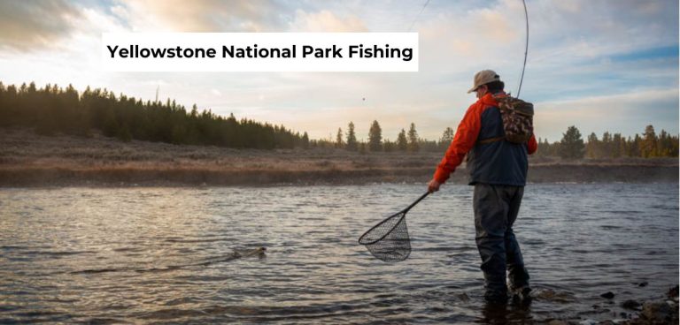 yellowstone national park fishing