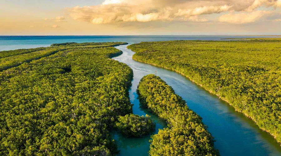 Everglades National Park is just an hour's drive from the lively city of Miami