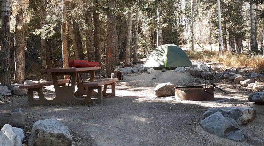 There are a number of designated campsites throughout Great Basin National Park