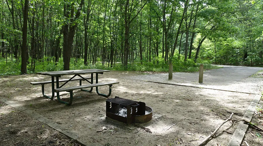 Dunewood Campground in Indiana Dunes National Park