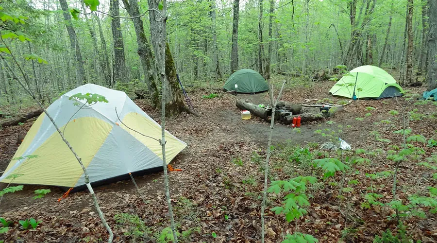 The park offers a network of primitive campsites
