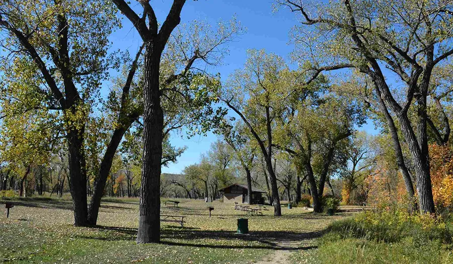 Juniper Campground