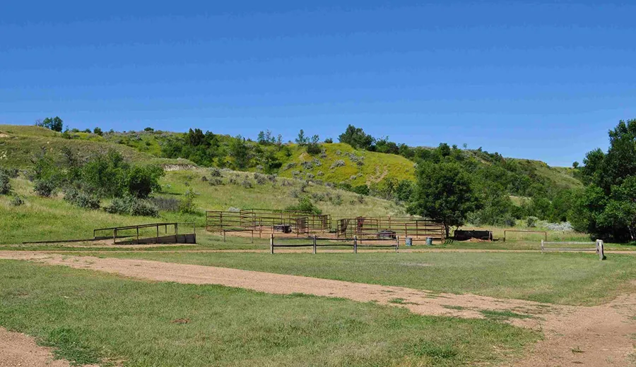 Roundup Group Horse Camp