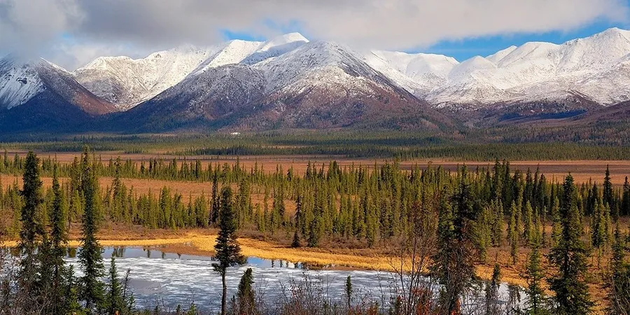 Spring and Fall shoulder seasons can fewer crowds and the opportunity to witness the changing of the seasons