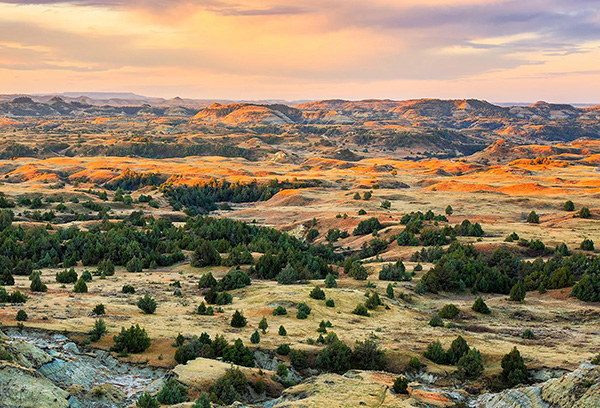 Theodore Roosevelt National Park