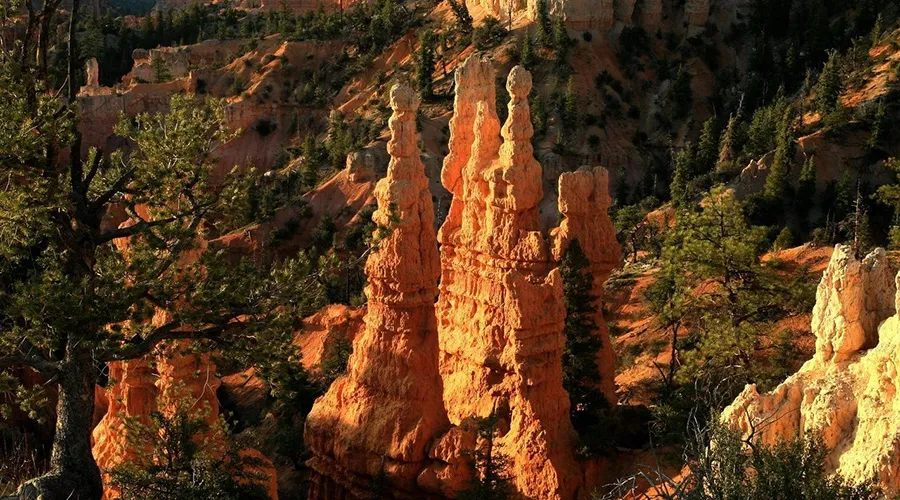 Bryce Canyon National Park hosts a variety of special events and programs