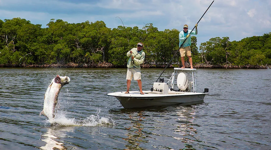 Everglades National Park offers a unique and rewarding fishing experience for all levels of anglers