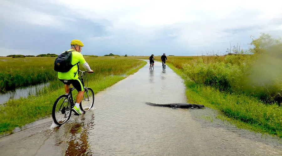 Everglades National Park offers bike trails with many levels of challenge