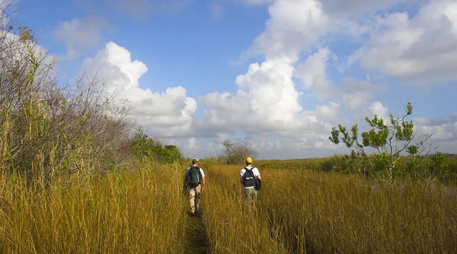 There are many land trails in the park for walking and hiking