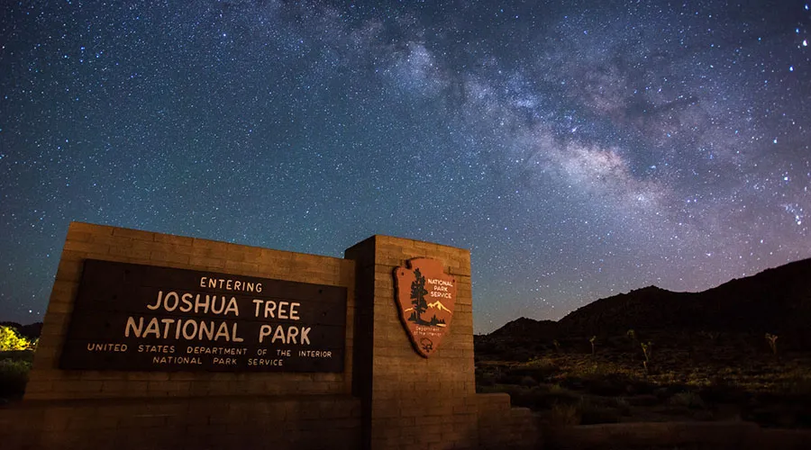 The night sky is filled with stars at Joshua Tree National Park