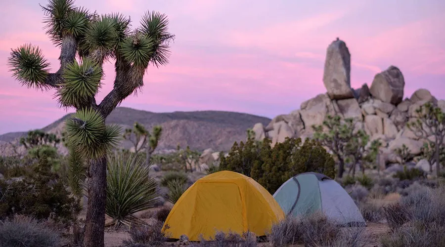 Joshua Tree National Park provides vast wilderness areas