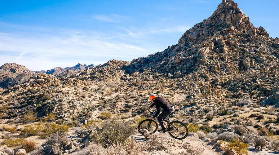 It is suggested to ride on Joshua Tree National Park's backcountry roads