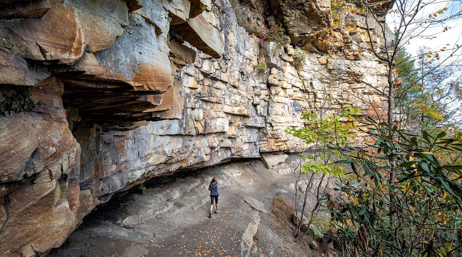 New River Gorge National Park and Preserve offers a diverse selection of trails