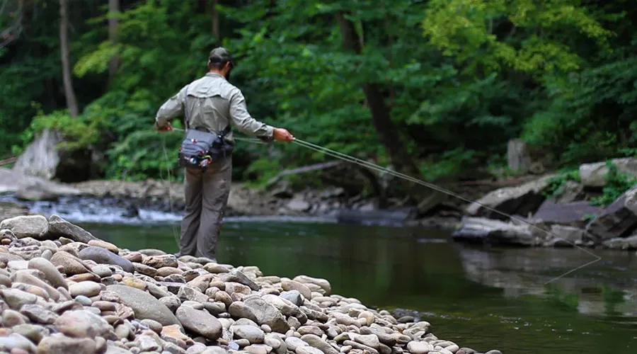 Fishing is a popular pastime on the New River due to its diverse fish population