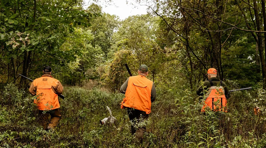 Hunting near heavily visited areas like campgrounds
