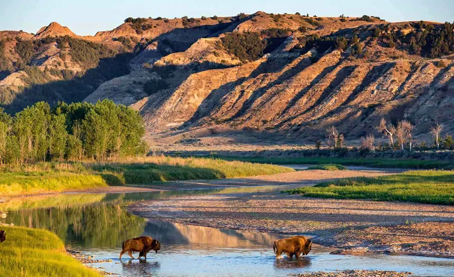 Theodore Roosevelt National Park offers abundant opportunities for wildlife watching