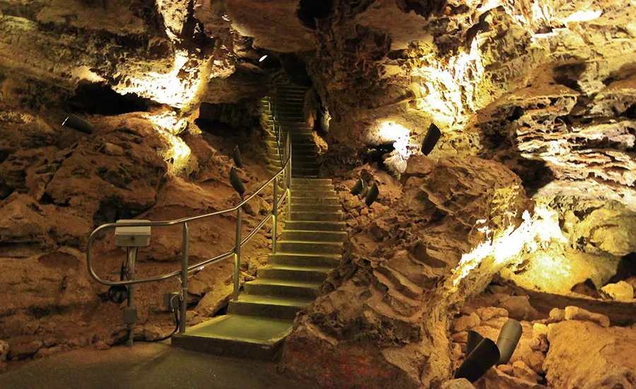 Wild Caving Tour