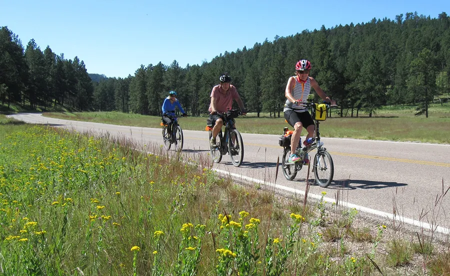The park boasts diverse ecosystems teeming with a wide array of flora and fauna waiting to be discovered